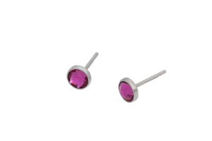 Fuchsia Swarovski Crystal Bezels (Pure Titanium Post Earrings)